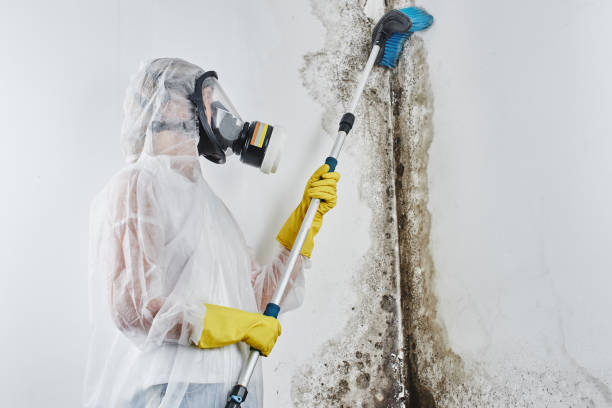 Water Damage Restoration in Potomac Mills, VA