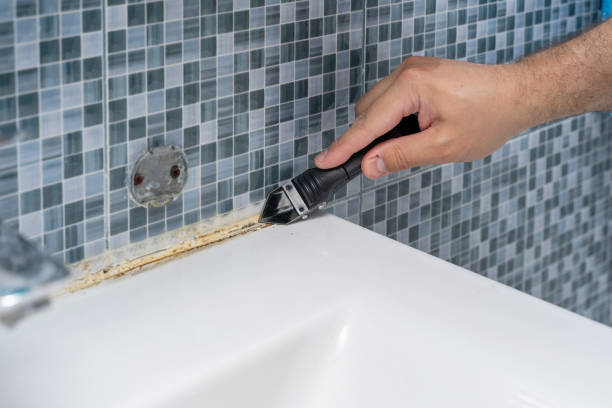 Best Best Mold Removal Companies  in Potomac Mills, VA