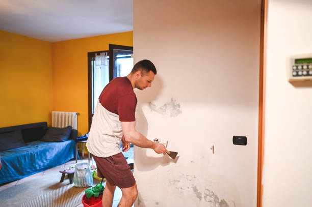 Best Mold Damage Repair  in Potomac Mills, VA
