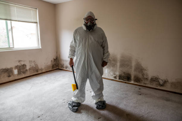 Best Residential Mold Removal  in Potomac Mills, VA